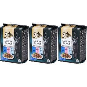 Sheba Délices du Jour – Assortiment in gelei voor volwassen katten