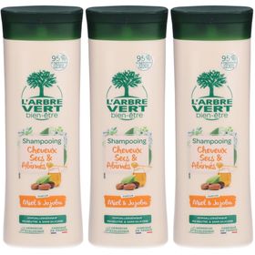 L'ARBRE VERT Shampooing écologique pour cheveux secs et abîmés