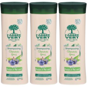 L'ARBRE VERT Shampooing écologique pour cheveux gras