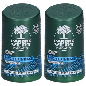 L'ARBRE VERT Intense Frisheid Ecologische Deodorant voor Mannen