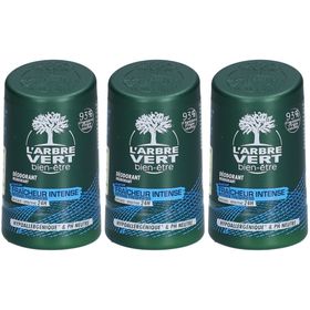 L'Arbre Vert Intense Frisheid Ecologische Deodorant voor Mannen