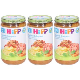 HIPP Kleiner Topf Spaghetti Bolognese bio nach 12 Monaten x3