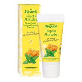 Propolis actieve zalf Pommade à la Propolis