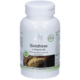 Warnke Vitalstoffe | Goudgierst + vitamine B5