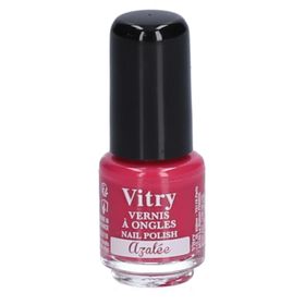 Vitry Mini Azalea