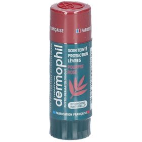 Dermophil Stick Lèvres Soin Teinté Poudre Rosé