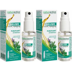 naturactive Essentie Nevel Interieurzuivering