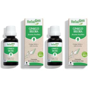 HerbalGem Ginkgo Biloba Bio
