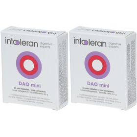 Intoleran DAO Mini