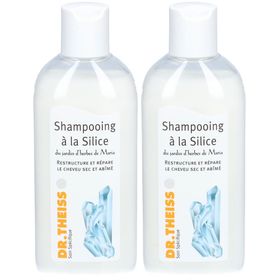 DR THEISS Silicashampoo