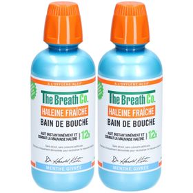 THE BREATHCO B/BOUCH MENT GIV500ML x2
