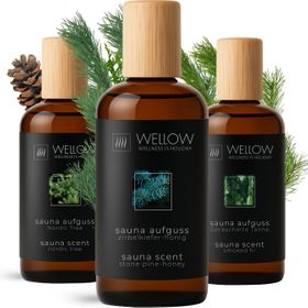 Wellow Sauna Coffret d'infusions (3 pièces) - Boisé et Enraciné