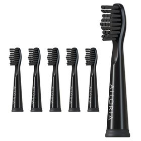 AILORIA FLASH TRAVEL Têtes de brosse - lot de 6