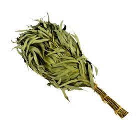 Wellow Sauna Bundel Eucalyptus takken/-kwast