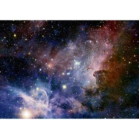 enjoy Puzzel mist Carina 1000 delen