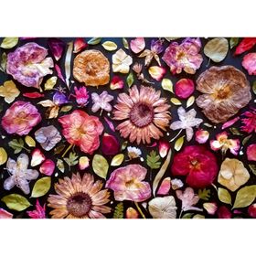 enjoy Puzzle Rosa 1000 pièces