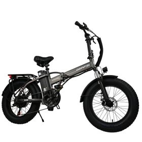 BAOLUJIE DZ2002 Elektrische fatbike voor volwassenen, 48V 16Ah verwijderbare accu