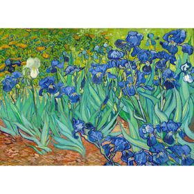 enjoy Puzzel Vincent Van Gogh: Iris 1000 delen