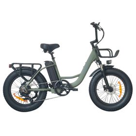 Univercycle B5(Venere) Elektrische fiets met voordrager, 48V 15AH accu