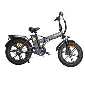 BAOLUJIE DZ2002 Elektrische fatbike voor volwassenen, 48V 16Ah verwijderbare accu