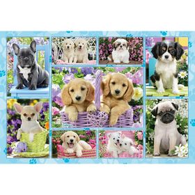 schmidt Puzzle chiots 200 pièces