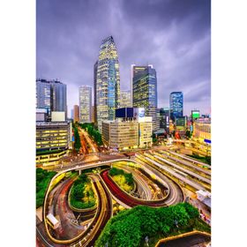 enjoy Puzzelkwartet NiÅ'ini-Åuku, Tokio 1000 delen