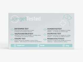 GetTested Test de la maladie de Carré pour chiens