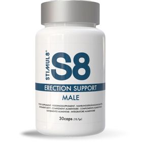 S8 - Erection Support