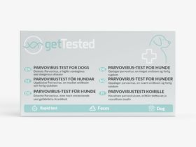 GetTested Test du parvovirus pour chiens