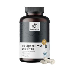 HealthyWorld Shilajit Mumie Extract 10:1