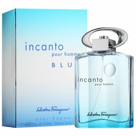 Salvatore Ferragamo Incanto Pour Homme Blue edt  Spray