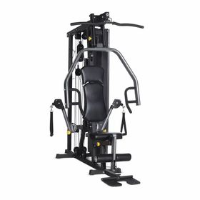 Station de musculation Horizon Fitness Torus 3