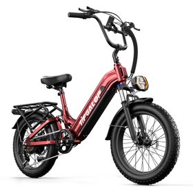 Tifgalop XC20 Vélo électrique pour adultes, moteur 70 Nm 250 W, batterie 48 V 20 Ah