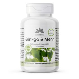 Warnke Vitalstoffe | Ginkgo & meer