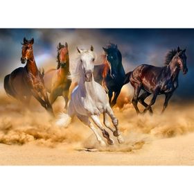 enjoy Puzzelpaarden galopperen in de woestijn 1000 delen