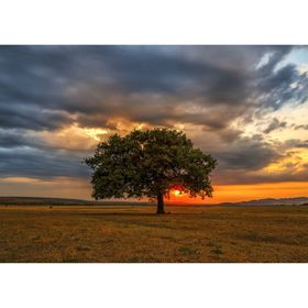 enjoy Twilight Puzzel 1000 stuks