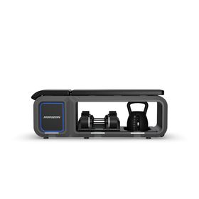 Banc Horizon Fitness