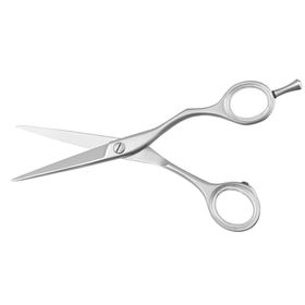 Niegeloh Solingen Ciseaux de coiffure, acier inoxydable