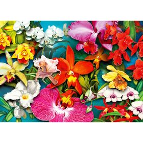 enjoy Jungle Orchidee Puzzel 1000 stuks