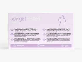 GetTested Test Mycoplasma pour chats