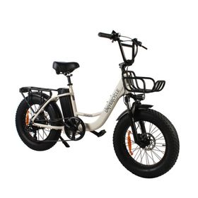 Univercycle B5(Venere) Elektrische fiets met voordrager, 48V 15AH accu