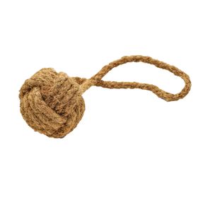 mascota casa - Coco Boule chien