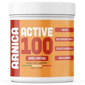 ACQUADEICAMPIONI Arnica Active 100