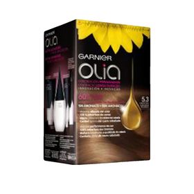 Garnier Olia Permanente Haarkleur Cappuccino 5,3