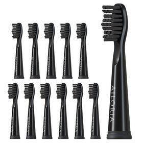 AILORIA FLASH TRAVEL Têtes de brosse - lot de 12