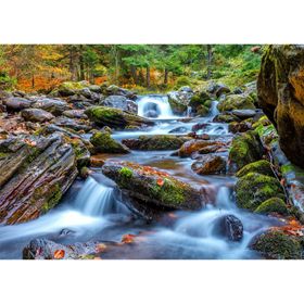 enjoy Puzzel Forest River in de herfst 1000 delen