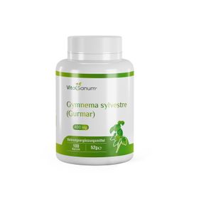 VitaSanum® Gymnema sylvestre (Gurmar)