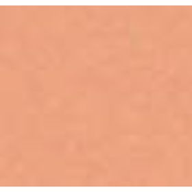 Artdeco Camouflage Cream  - 05 Light Whiskey