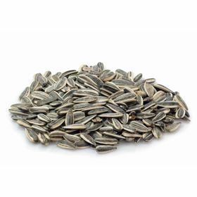 Öz Natur | Gezouten zonnebloempitten