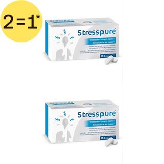 StressPure® | Résistance au stress | Magnésium – Complexe de vitamines B - Taurine | 2=1*